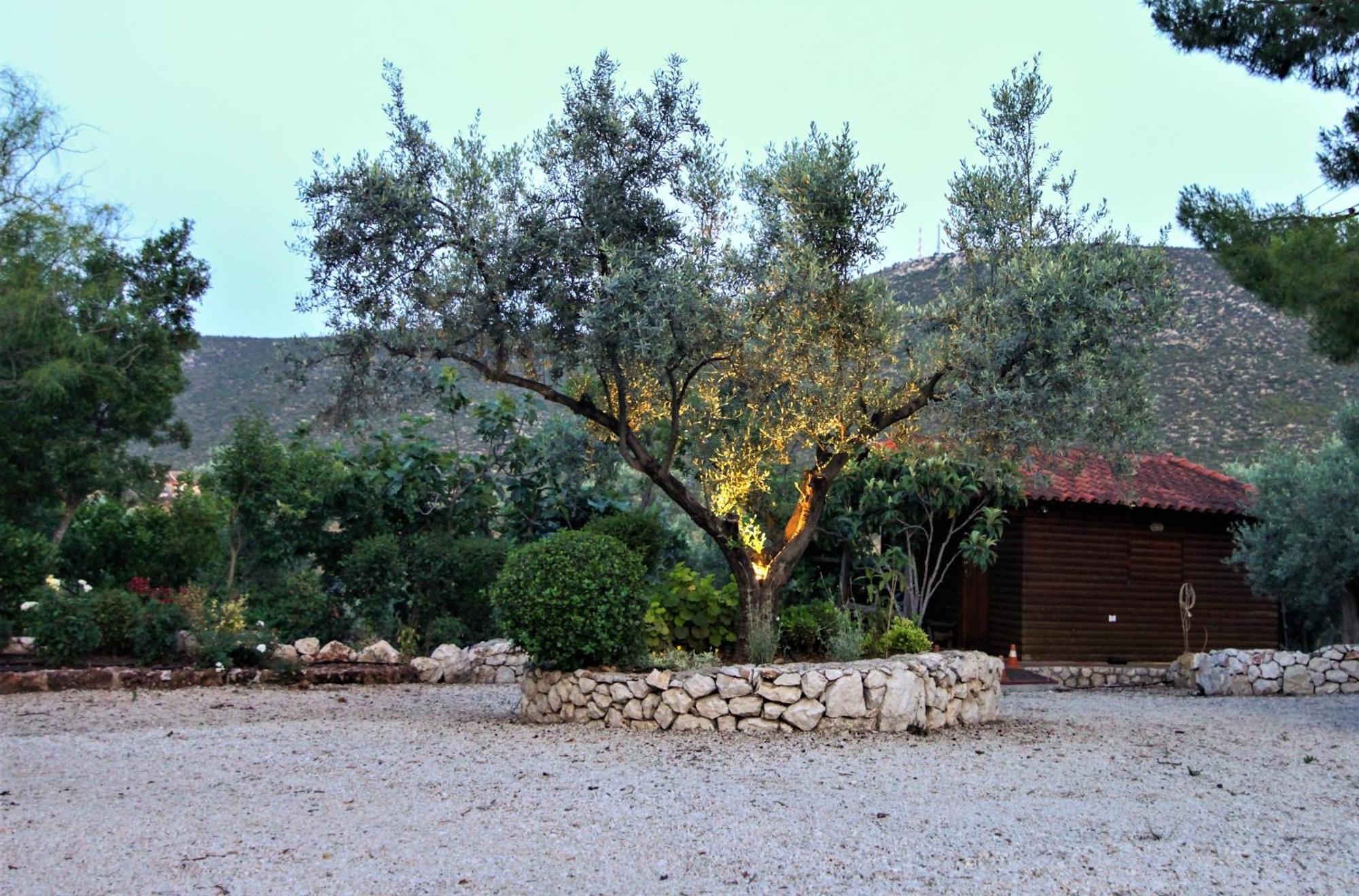 Villa Korina Metochi (Asklipiio) Exterior foto