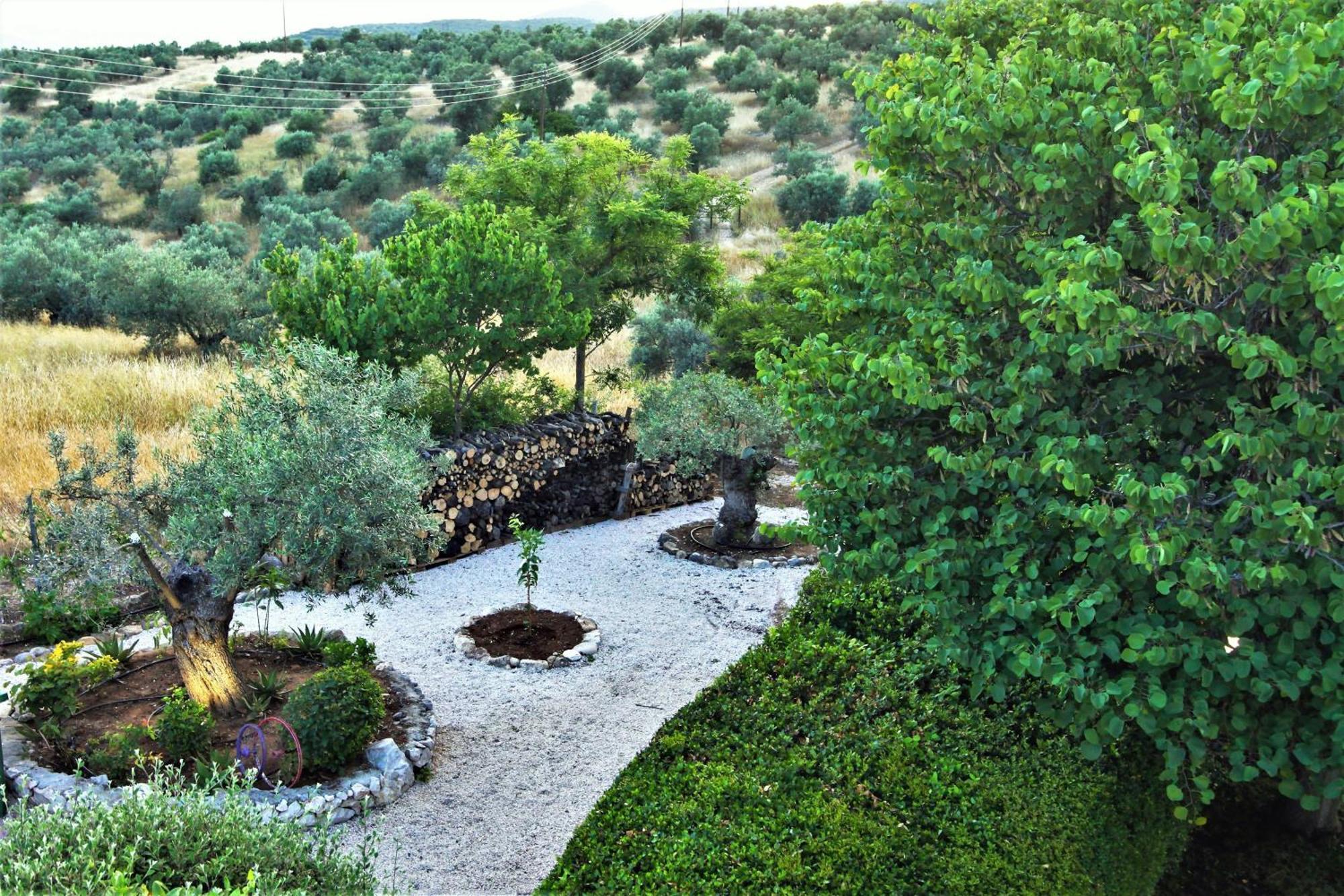 Villa Korina Metochi (Asklipiio) Exterior foto